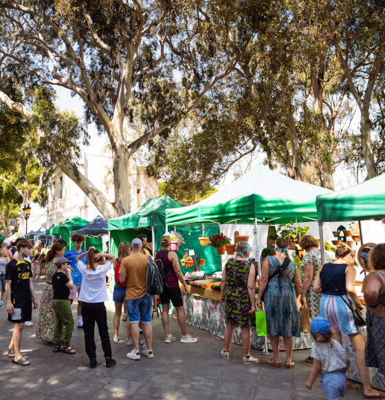 Haría Traditional Artisan Market · 19 September