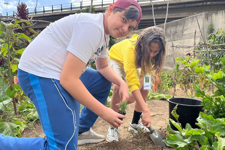 Huertoaventuras de Verano – Environmental Gardening Campus