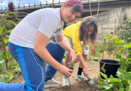 Huertoaventuras de Verano – Environmental Gardening Campus
