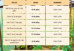 Huertoaventuras de Verano – Environmental Gardening Campus - Photo 2
