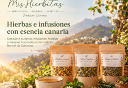 Market Artesano CC Rosa Center